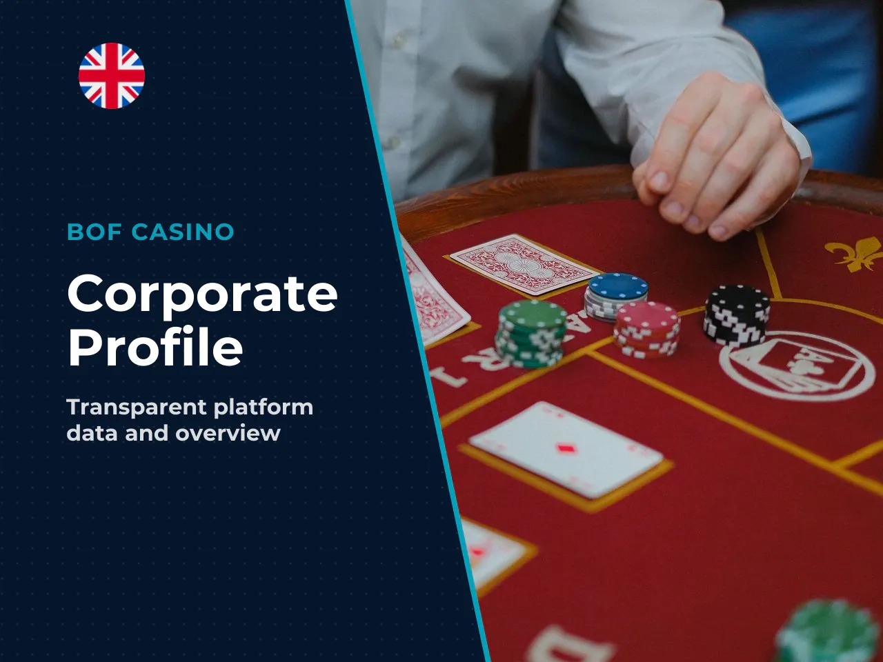 Summary Data and Corporate Profile